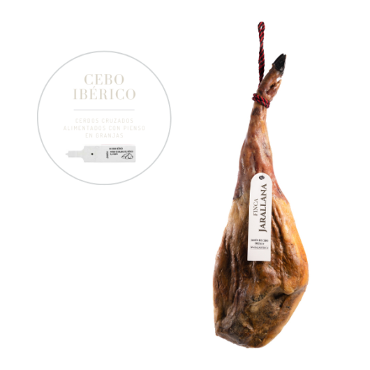 brida jamon cebo iberico
