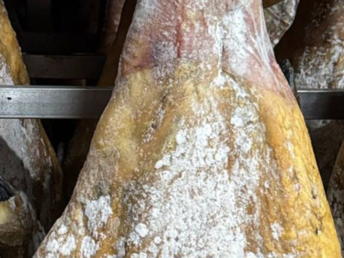 Jamon Rahn Qué hacer si moho en el jamón foto - Blackdragontours.com