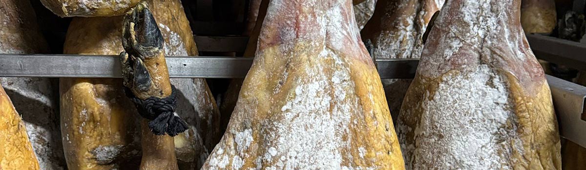 jamon-con-moho-soluciones