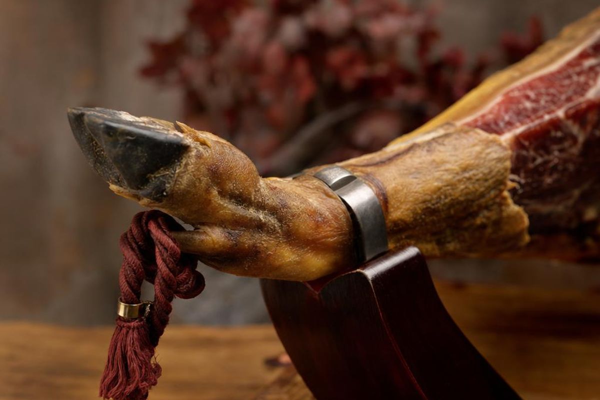 pata de jamon iberico | Nevera Española