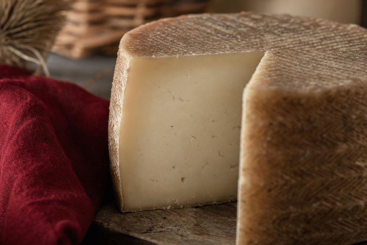queso de oveja | Nevera Española