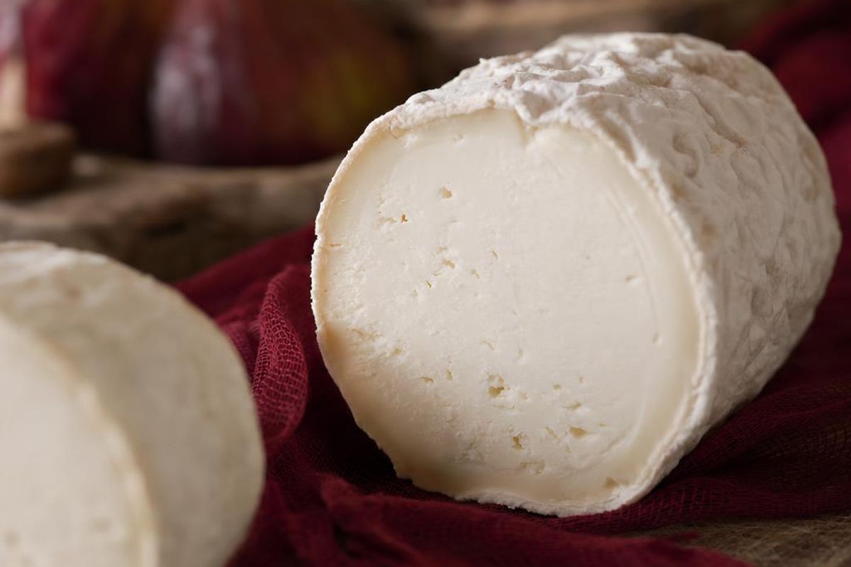 queso rulo de cabra | Nevera Española